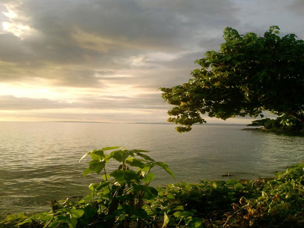 Shades Cottage Guesthouse Blue Hole Exterior foto